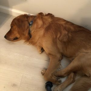 Meet your Posher, Tarik